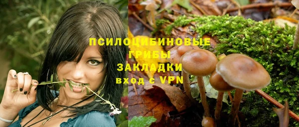 индика Осинники