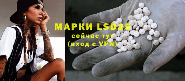 хмурый Алексин