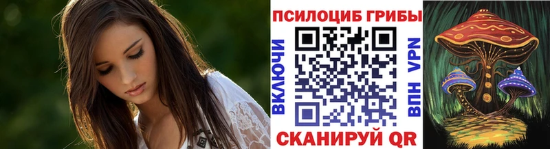 Псилоцибиновые грибы Psilocybine cubensis  Десногорск 